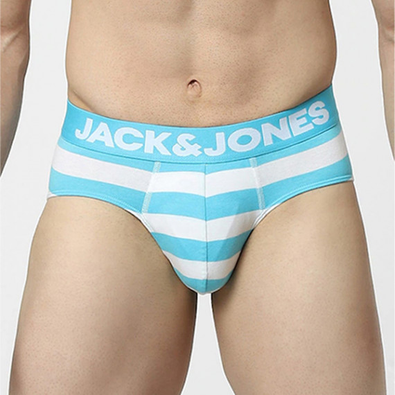 http://235429.01spn.group/products/men-blue-striped-basic-briefs